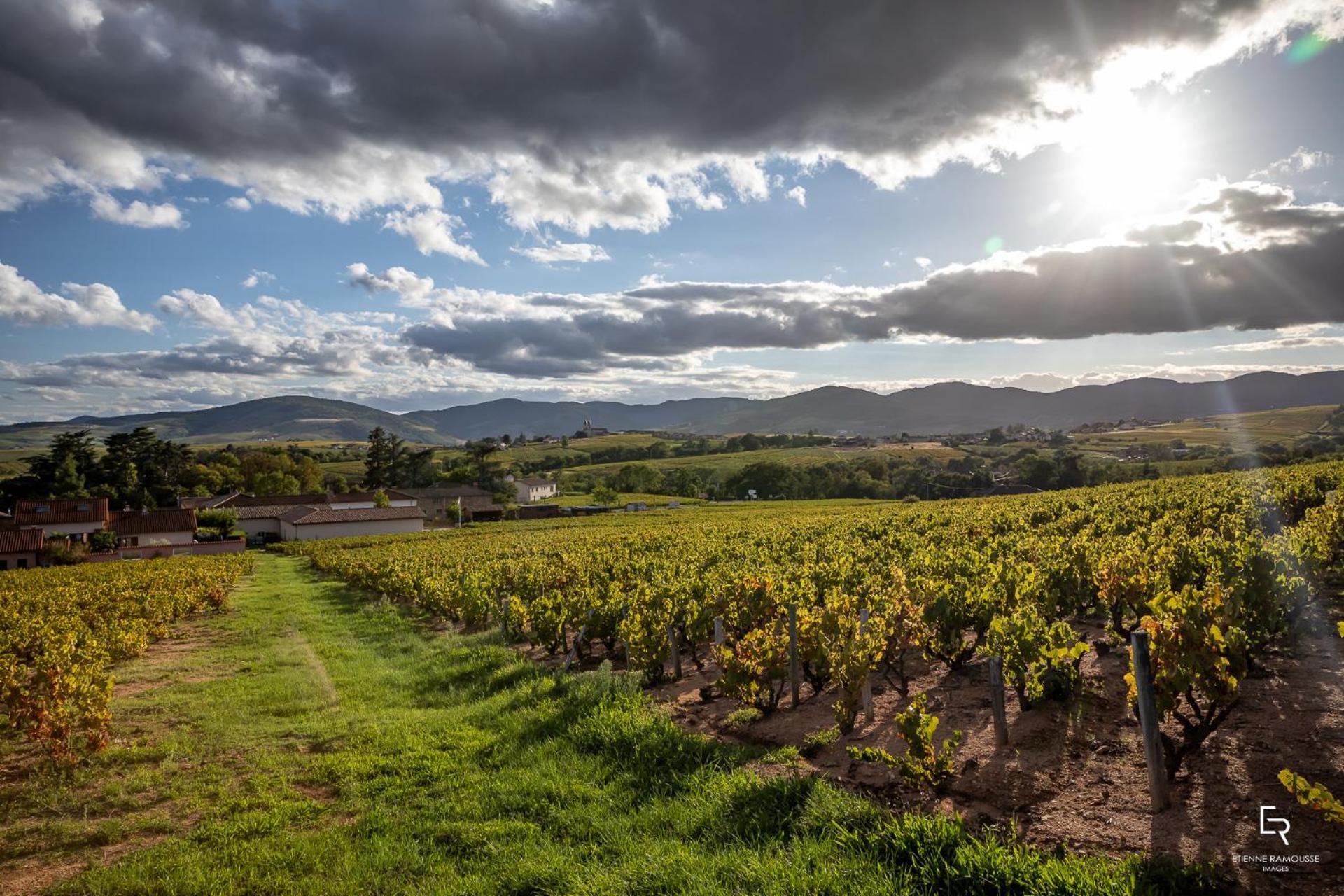 Bed and Breakfast Les Glycines - Domaine Gilles Coperet Regnie-Durette Екстер'єр фото